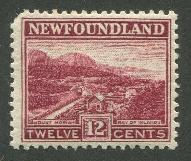 NEWFOUNDLAND #141 MINT VF