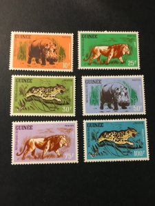 Guinea sc 248-253 MH comp set animals