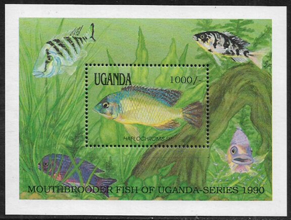 Uganda #867 MNH S/Sheet - Fishes