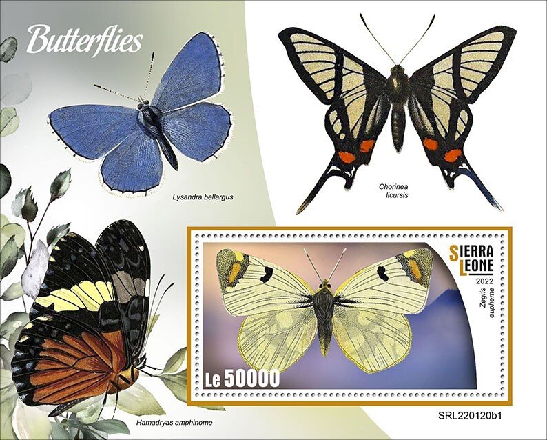 SIERRA LEONE - 2022 - Butterflies - Perf Souv Sheet #1 - Mint Never Hinged