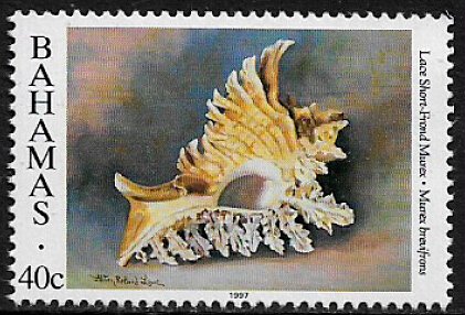 Bahamas #855b MNH Stamp - Seashell