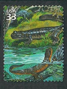 3378g Rain Forest Used Single