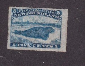 NEWFOUNDLAND # 40 VF-LOOKS UNUSED 5cts HARP SEAL 