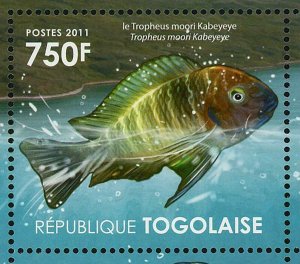 Ecosystem Tanganyika Lake Stamp Fish Tropheus Neolamprologus S/S MNH #4181-4184