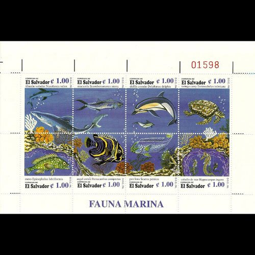 SALVADOR 1996 - Scott# 1455 Sheet-Marine Life NH