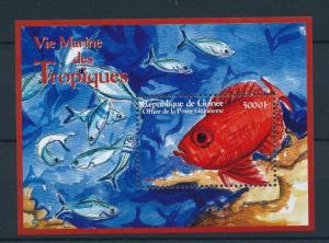 [26495] Guinea 2001 Marine Life Fish MNH  Souvenir Sheet