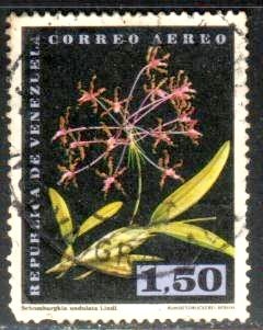 Orchid, Schomburgkia Undulata Lindl, Venezuela stamp SC#C802 Used