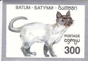 Batum -Cat, Souvenir Sheet, NH