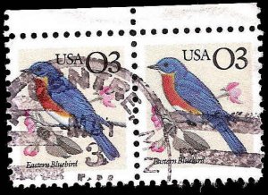 # 2478 USED PAIR EASTERN BLUEBIRD