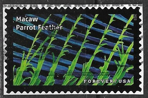 US ~ Scott # 5802b ~ Used on paper ~ Macaw Parrot Feather