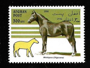 Afghanistan 1996 - MNH - Unlisted - Pic 2 *