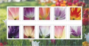 Flower forever stamps random style, 5 sheets of 100 pcs.20 types available