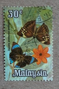 Malaysia 1970 30c Butterflies and flowers, used. Scott 67, CV $0.25. SG 65