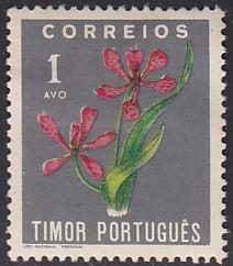 Timor 260 Blackberry Lily 1950