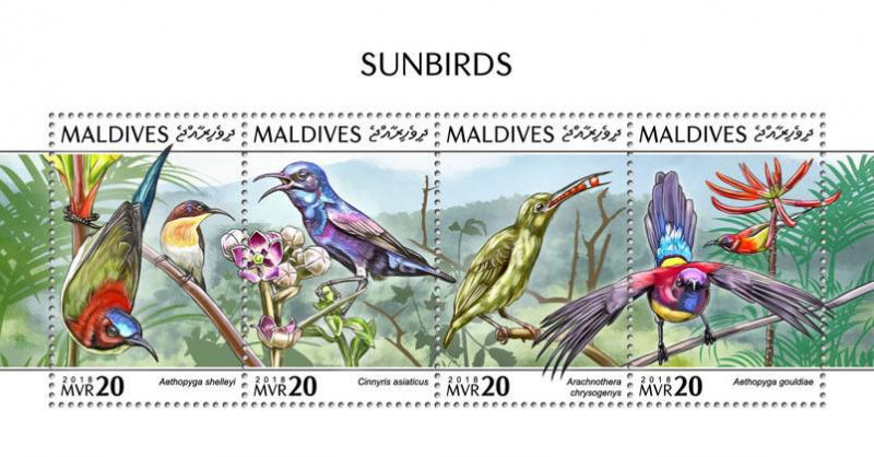 Z08 MLD181013a MALDIVES 2018 Sunbirds MNH ** Postfrisch