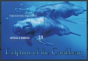 Antigua & Barbuda 2013 MNH Dolphins of Caribbean Stamps Pygmy Killer Whale 1v SS