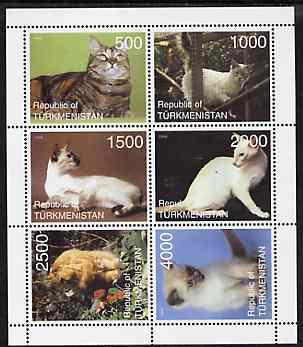 TURKMENISTAN SHEET DOMESTIC CATS 