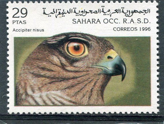 R.A.S.D.1996 BIRD EURASIAN SPARROWHAWK 1 Stamp Perforated Mint (NH)