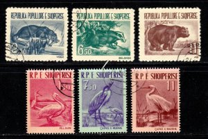 Albania stamps #589 - 594, 2 used sets, Topical, animals