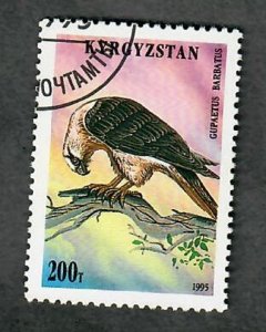 Kyrgyzstan #85 Raptor used single