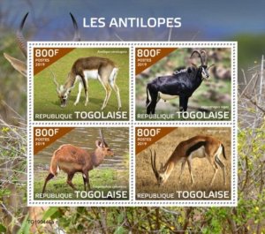 Togo - 2019 Antelopes on Stamps - 4 Stamp Sheet - TG190446a