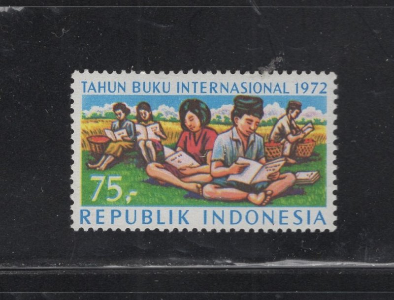 Indonesia #818 (1972 Book Year issue) VFMNH CV $2.50