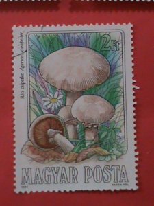 HUNGARY STAMP: COLORFUL BEAUTIFUL LOVELY MUSHROOM USED STAMPS SET.LARGE STAMPS.