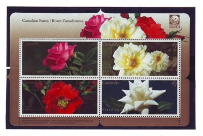 Canada Sc  1910 2001 Roses  stamp sheet mint NH