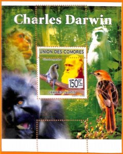 A5612 - COMOROS - ERROR, 2009, MISPERF SOUVENIR SHEET: Darwin, Birds, Monkeys
