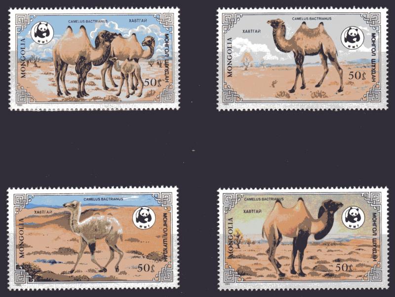 Mongolia 1985 Sc#1443/1446 WWF Camelus  Bactrianus Set (4) MNH