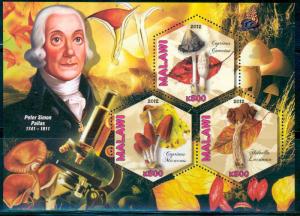 MALAWI 2012 MUSHROOMS