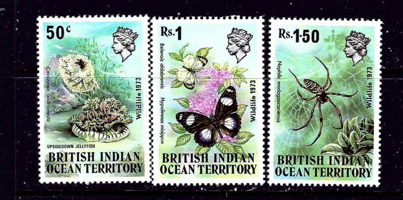 British Indian Ocean Terr 54-56 MNH 1973 Jellyfish Butterlies and Spiders