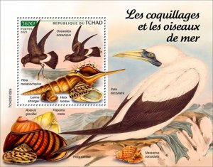 Chad - 2023 Seashells Seabirds, Petrel, Tibia - Stamp Souvenir Sheet -