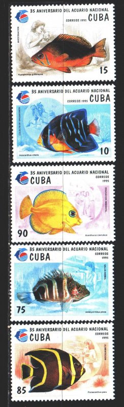 Cuba. 1995. 3811-16 from the series. Fish, fauna. MNH.