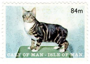 (I.B) Cinderella Collection : Isle of Man (Calf of Man) Manx Cat 84m