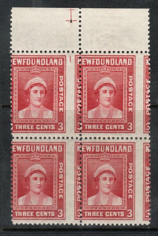 Newfoundland #255 Mint Misperf Variety Block With Plate Marking In Top Margin