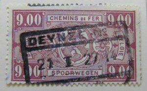 A6P18F144 Belgium Parcel Post and Railway Stamp 1927-31 9fr used Deynze-