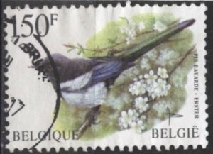 Belgium 1645 (used) 150fr birds: (magpie) pie bavarde (1997)