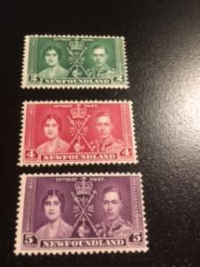 Newfoundland sc 230-232 MLH comp set
