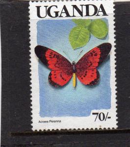 Uganda Butterflies used