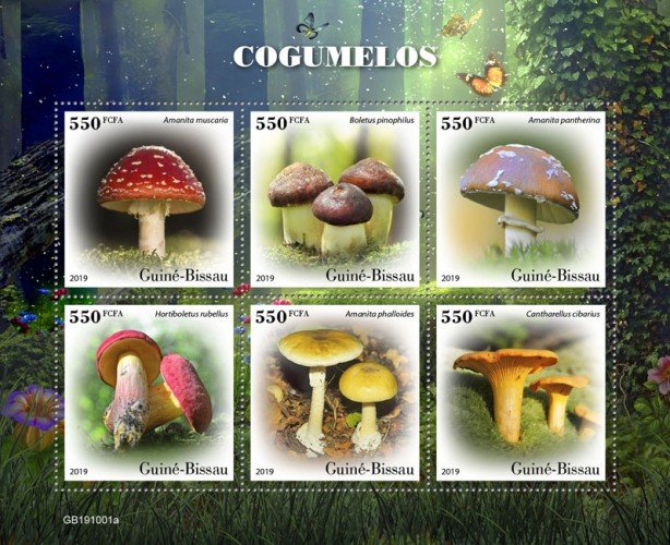 GUINEA BISSAU - 2019 - Mushrooms - Perf 6v Sheet - M N H