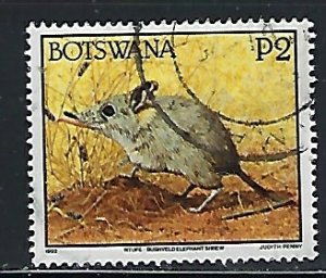 Botswana 533 Used 1992 issue (fe4063)