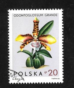 Poland 1965 - U - Scott #1346