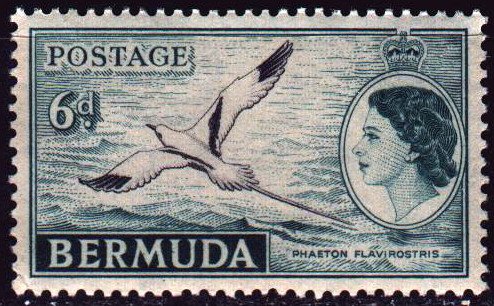 Bermuda. 1953. 138 from the series. White-tailed phaeton, birds, fauna. MNH.