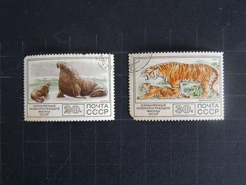 Animals, Amur tiger, Protected mammals of the SU fauna, 1977, №1207-Т