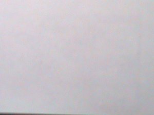 ​EYNHALLOW-SCOTLAND-PROMOTION SALES- LOVELY FISH CTO IMPERF S/S VERY FINE-RARE