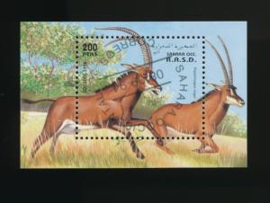 Sahara occidental 1994  sheetlet of 1 CTO - Wild animals