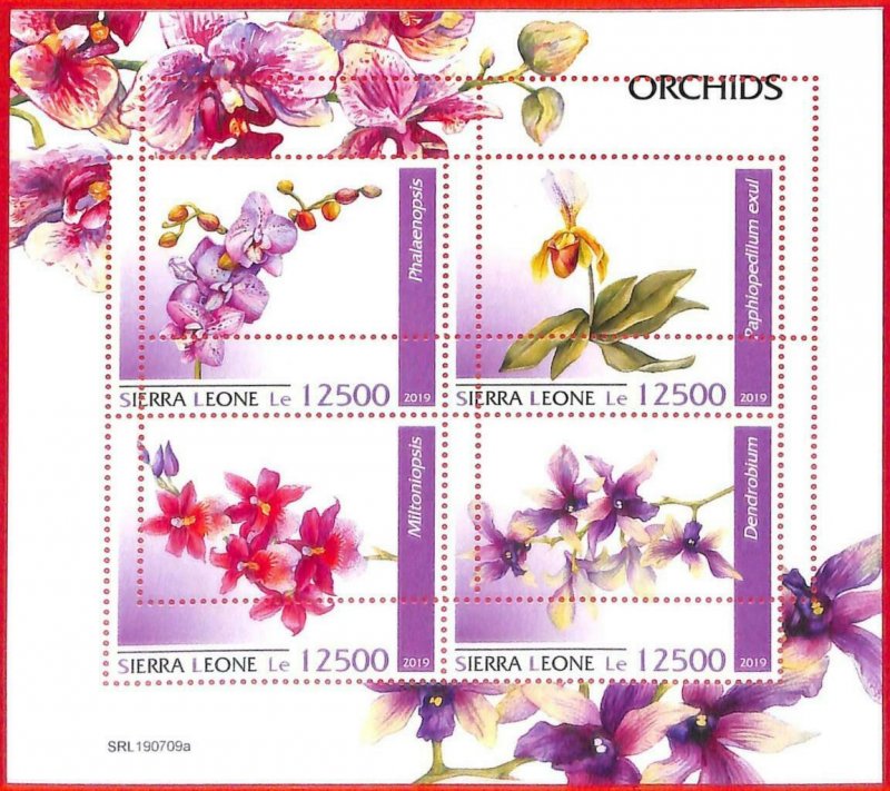 A4538 - SIERRA LEONE - ERROR MISPERF, Miniature sheet: 2019, Orchids, Flowers