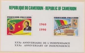 CAMEROUN MNH Scott # 858a 30th Anniversary (1 Sheet)