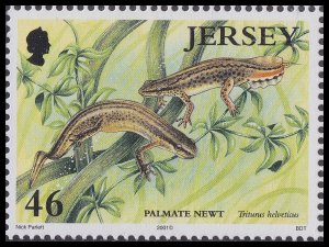 Jersey 995 Water Nature's Treasure Palmate Newt 46p single MNH 2001